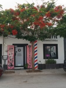 WhatsApp Image 2025-09-02 at 1.46.52 PM (1)